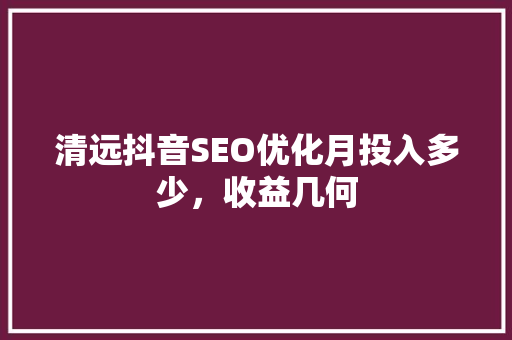 清远抖音SEO优化月投入多少，收益几何