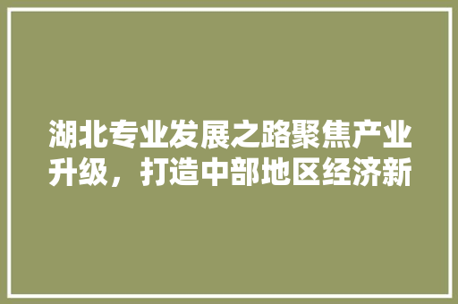 湖北专业发展之路聚焦产业升级，打造中部地区经济新引擎