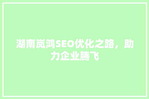 湖南岚鸿SEO优化之路，助力企业腾飞