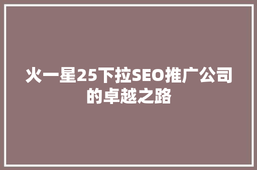 火一星25下拉SEO推广公司的卓越之路