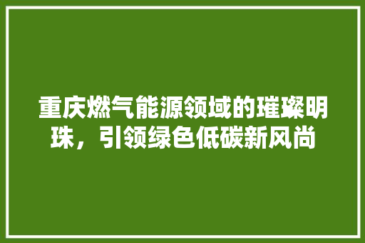 重庆燃气能源领域的璀璨明珠，引领绿色低碳新风尚