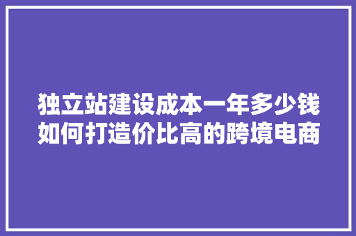 独立站建设成本一年多少钱如何打造价比高的跨境电商平台