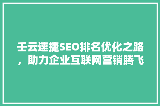 壬云速捷SEO排名优化之路，助力企业互联网营销腾飞
