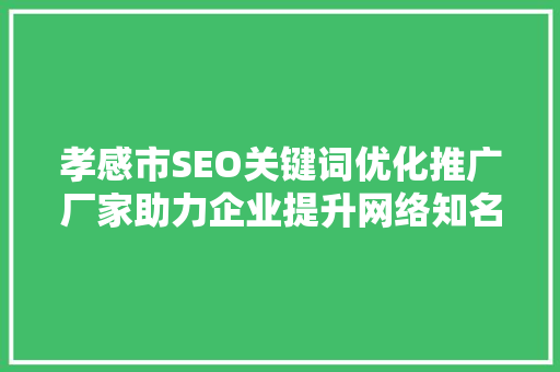 孝感市SEO关键词优化推广厂家助力企业提升网络知名度