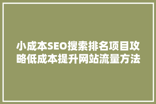 小成本SEO搜索排名项目攻略低成本提升网站流量方法