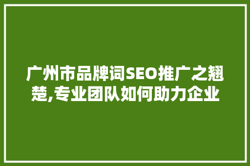 广州市品牌词SEO推广之翘楚,专业团队如何助力企业腾飞