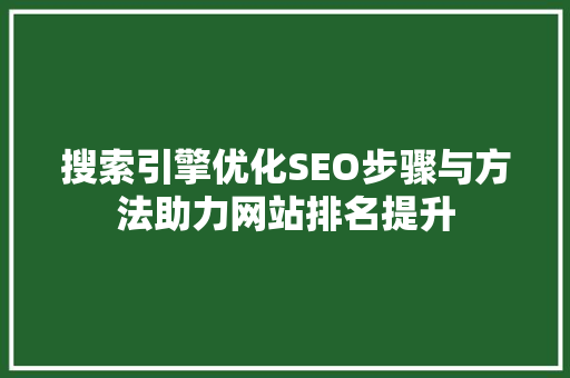 搜索引擎优化SEO步骤与方法助力网站排名提升