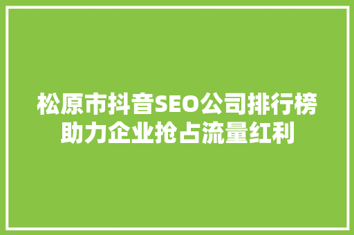 松原市抖音SEO公司排行榜助力企业抢占流量红利