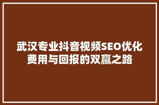 武汉专业抖音视频SEO优化费用与回报的双赢之路