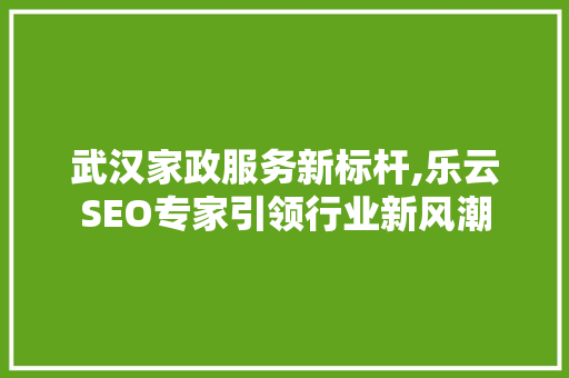 武汉家政服务新标杆,乐云SEO专家引领行业新风潮