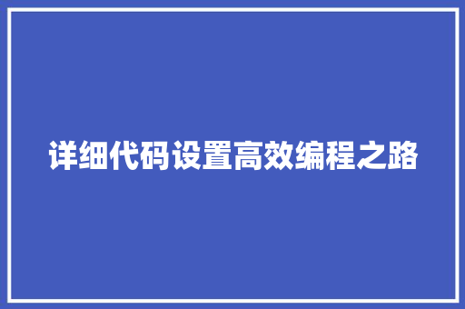 详细代码设置高效编程之路