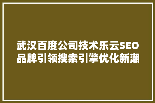 武汉百度公司技术乐云SEO品牌引领搜索引擎优化新潮流