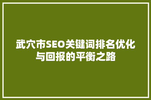 武穴市SEO关键词排名优化与回报的平衡之路