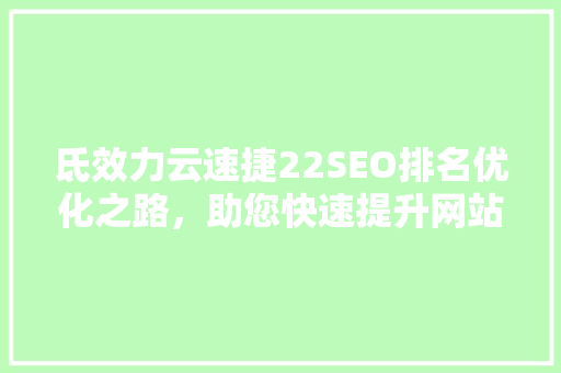 氐效力云速捷22SEO排名优化之路，助您快速提升网站流量