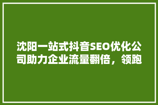 沈阳一站式抖音SEO优化公司助力企业流量翻倍，领跑短视频时代
