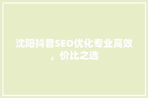 沈阳抖音SEO优化专业高效，价比之选