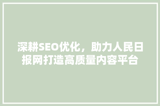 深耕SEO优化，助力人民日报网打造高质量内容平台