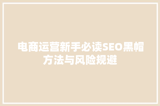 电商运营新手必读SEO黑帽方法与风险规避