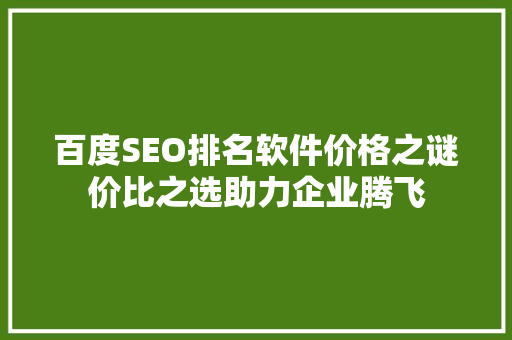 百度SEO排名软件价格之谜价比之选助力企业腾飞