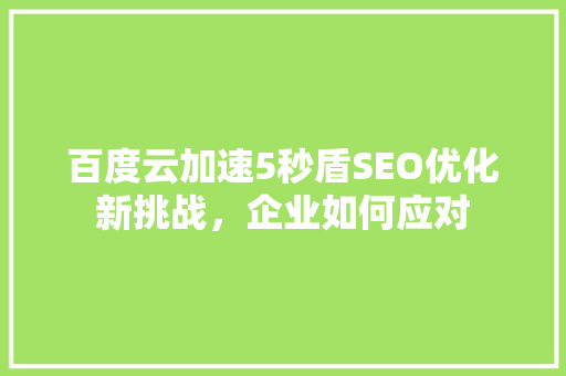 百度云加速5秒盾SEO优化新挑战，企业如何应对