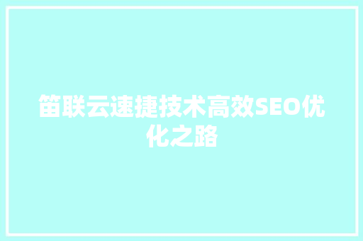 笛联云速捷技术高效SEO优化之路