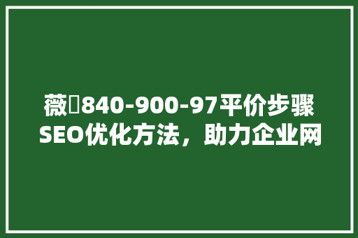 薇鈊840-900-97平价步骤SEO优化方法，助力企业网站流量翻倍