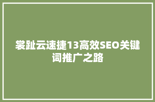 裳趾云速捷13高效SEO关键词推广之路