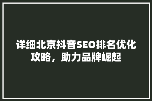 详细北京抖音SEO排名优化攻略，助力品牌崛起