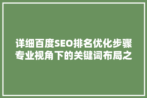 详细百度SEO排名优化步骤专业视角下的关键词布局之路
