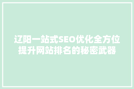 辽阳一站式SEO优化全方位提升网站排名的秘密武器