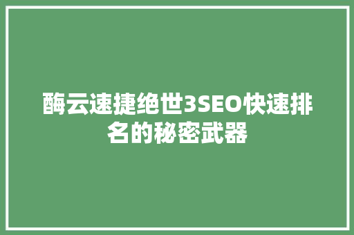 酶云速捷绝世3SEO快速排名的秘密武器