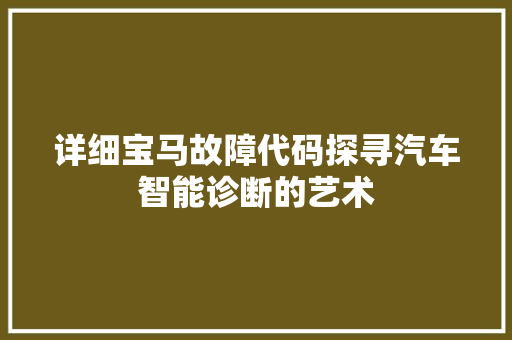 详细宝马故障代码探寻汽车智能诊断的艺术