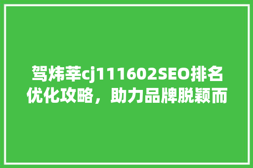 驾炜莘cj111602SEO排名优化攻略，助力品牌脱颖而出