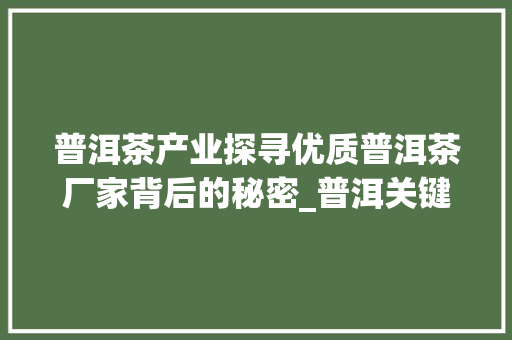 普洱茶产业探寻优质普洱茶厂家背后的秘密_普洱关键词优化厂家