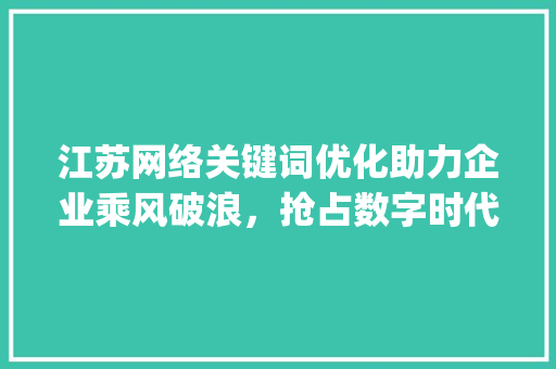江苏网络关键词优化助力企业乘风破浪，抢占数字时代先机_江苏网络关键词优化