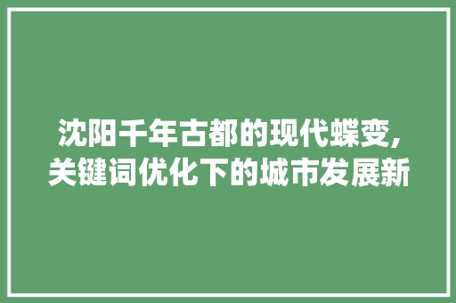 沈阳千年古都的现代蝶变,关键词优化下的城市发展新篇章_沈阳关键词优化效果