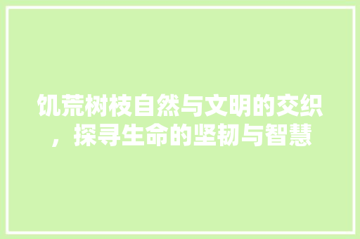 饥荒树枝自然与文明的交织，探寻生命的坚韧与智慧