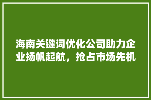 海南关键词优化公司助力企业扬帆起航，抢占市场先机_海南关键词优化公司