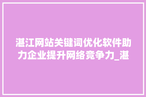 湛江网站关键词优化软件助力企业提升网络竞争力_湛江网站关键词优化软件