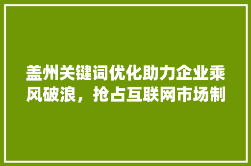 盖州关键词优化助力企业乘风破浪，抢占互联网市场制高点_盖州关键词优化公司
