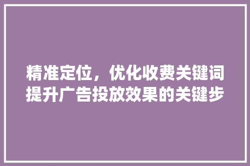 精准定位，优化收费关键词提升广告投放效果的关键步骤_收费关键词优化价格