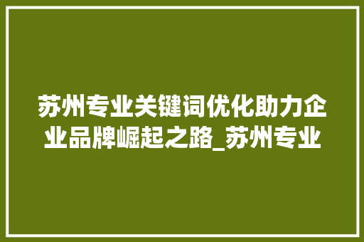 苏州专业关键词优化助力企业品牌崛起之路_苏州专业关键词优化