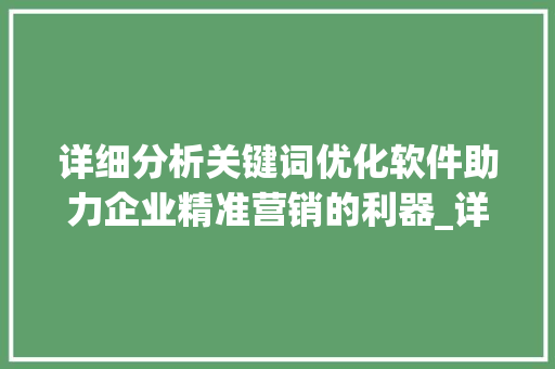 详细分析关键词优化软件助力企业精准营销的利器_详细分析关键词优化软件