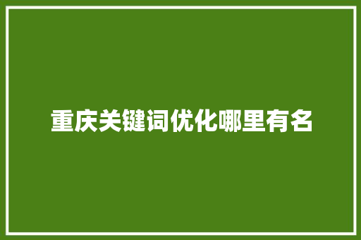 重庆关键词优化哪里有名