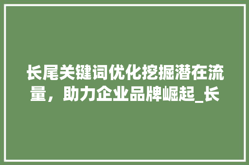 长尾关键词优化挖掘潜在流量，助力企业品牌崛起_长尾关键词优化主持