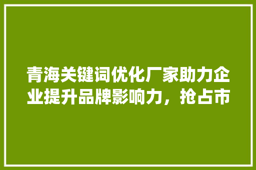 青海关键词优化厂家助力企业提升品牌影响力，抢占市场先机_青海关键词优化厂家