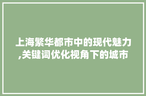 上海繁华都市中的现代魅力,关键词优化视角下的城市解读_上海关键词优化源代码