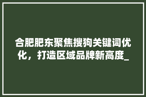 合肥肥东聚焦搜狗关键词优化，打造区域品牌新高度_合肥肥东搜狗关键词优化
