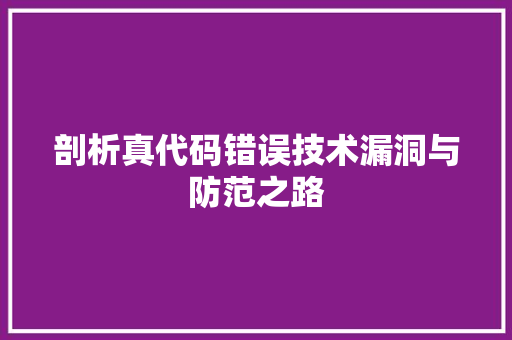 剖析真代码错误技术漏洞与防范之路