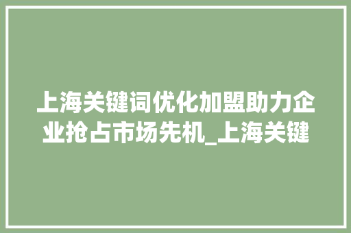 上海关键词优化加盟助力企业抢占市场先机_上海关键词优化加盟